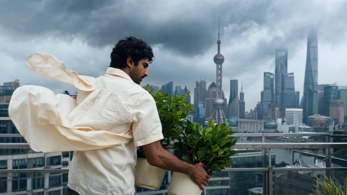 Bringing balcony plants indoors before typhoon winds hit a Shanghai high-rise