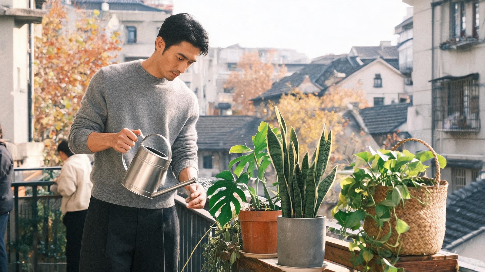 A man watering potted monstera, snake plant and pothos on a sunny Shanghai apartment balcony with autumn lane-house rooftops behind