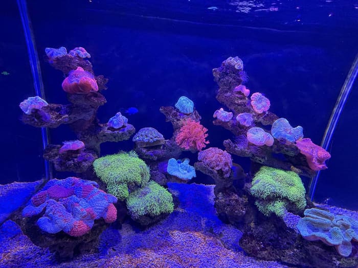 Shanghai Haichang Ocean Park, Worth Doing in Nanhui New Town, Pudong, Shanghai, photo 2
