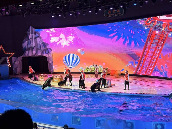 Shanghai Haichang Ocean Park, Worth Doing in Nanhui New Town, Pudong, Shanghai, photo 4