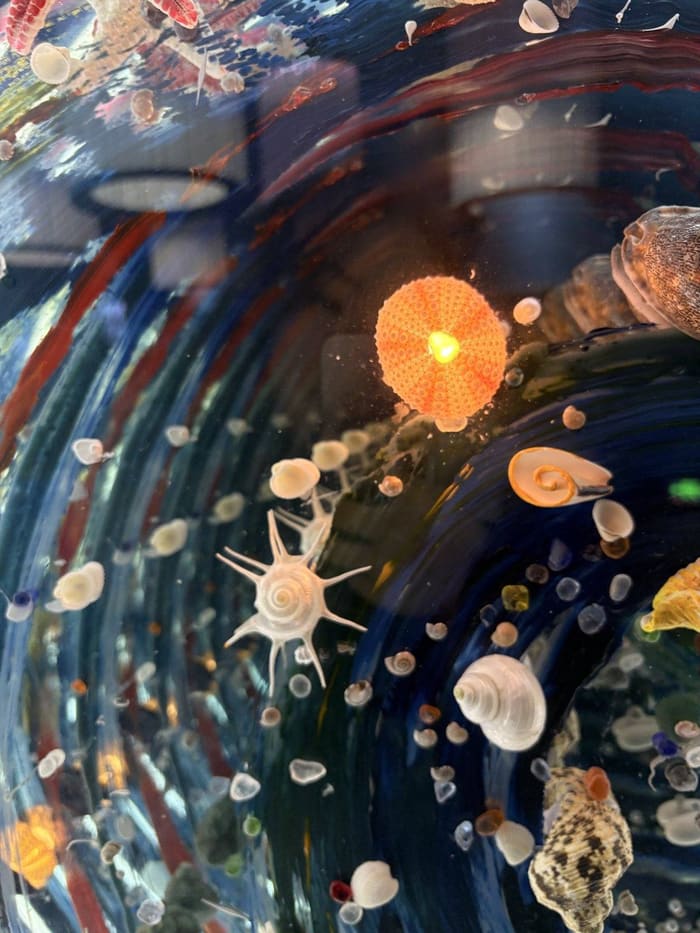 Shanghai Haichang Ocean Park, Worth Doing in Nanhui New Town, Pudong, Shanghai, photo 6