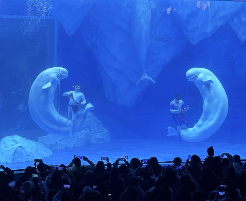Shanghai Haichang Ocean Park