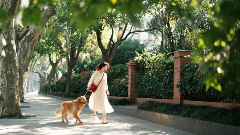 Bring a Pet to Shanghai in 2026 and Skip the Quarantine