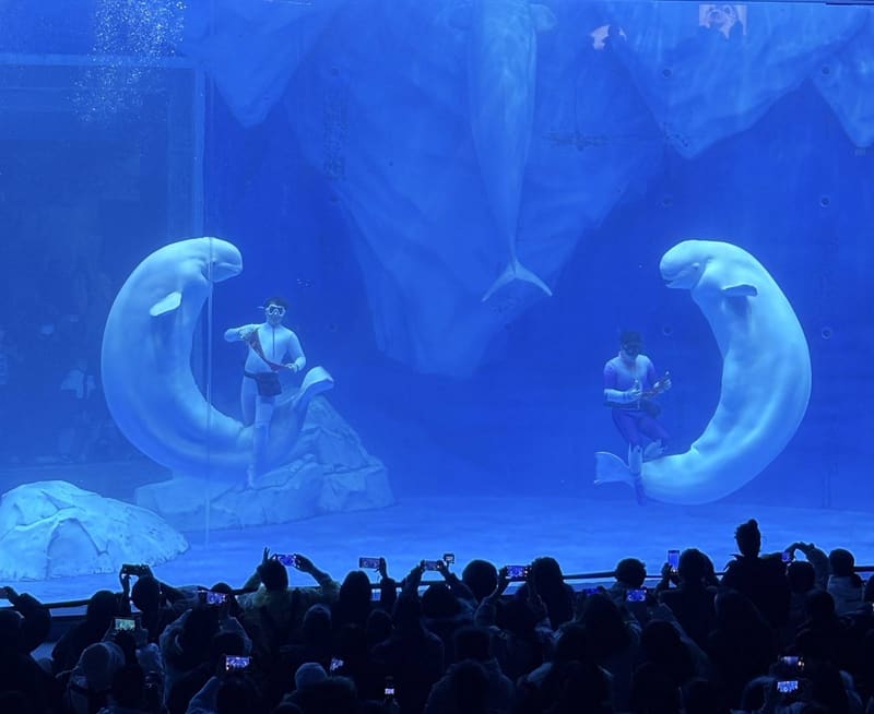 Shanghai Haichang Ocean Park