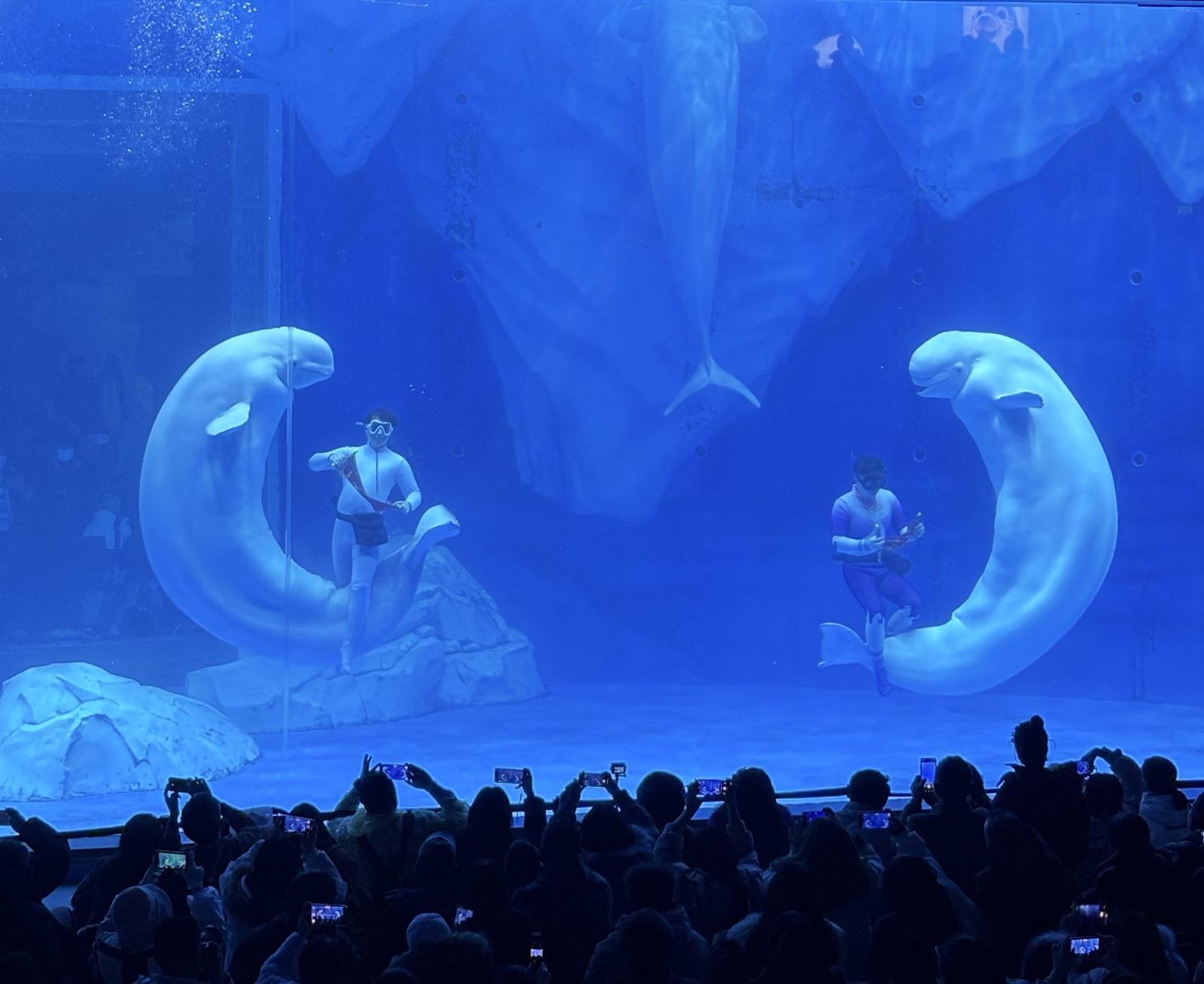 Shanghai Haichang Ocean Park