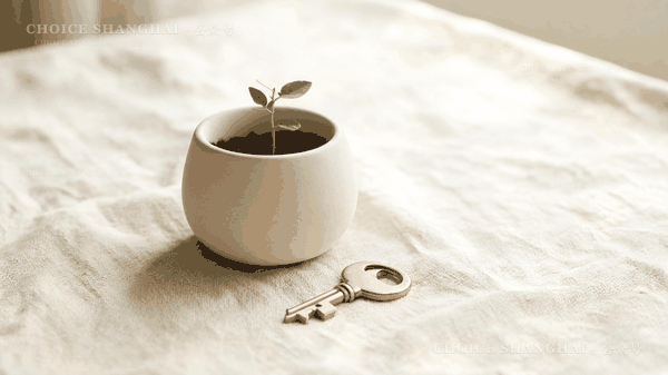 A small plant growing over time in a pot beside a house key, a gentle image of putting down roots in Shanghai